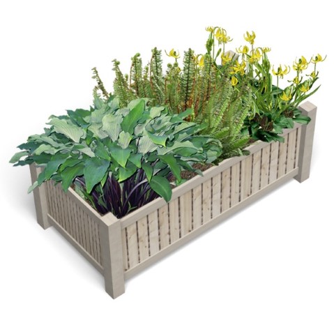 Brighten Up That Shady Spot